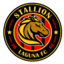 Stallion FC