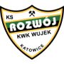 Рожвой Катовице