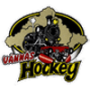 Vannas HC
