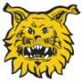 Ilves Tampere U20