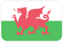 Wales U19 (F)
