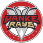 Shenzhen KRS Vanke Rays (K)