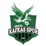 Inegol Kafkas Genclikspor