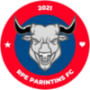 Parintins FC AM