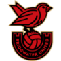 Bridgwater United