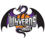 Yamagata Wyverns