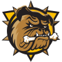 HAMILTON BULLDOGS (OHL)