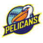 Pelicans