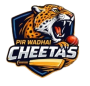 Cheetas
