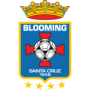 Blooming Santa Cruz