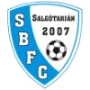 Salgotarjan Baglyasalja