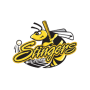 Willmar Stingers