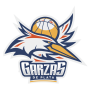 Garza de Plata
