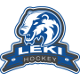 LeKi Hockey