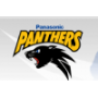 Fiu Panthers