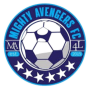 Mighty Avengers