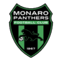 Monaro Panthers FC