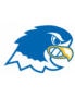 Notre Dame Falcons