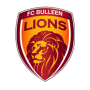 FC Bulleen Lions