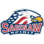 Saginaw Spirit