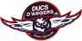 Angers Ducs