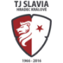 Tj Slavia Hradec Kralove B