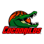 Cocodrilos de Caracas