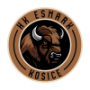 HK Esmark Kosice