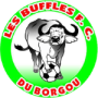 Les Buffles de Borgou FC