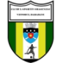 Cso Viitorul Darabani