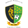 Midlands Wanderers FC