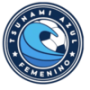 Tsunami Azul FF