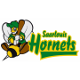 Saarlouis Hornets