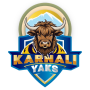 Karnali Yaks
