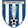 TJ Dvur Kralove