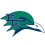 Endicott Gulls