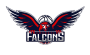 Newcastle Falcons