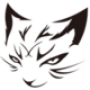 TEAM XDM