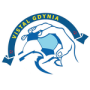 Vistal Gdynia (W)