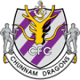 Jeonnam Dragons
