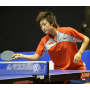 Feng T / Lin Y