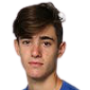 Gustavo Heide