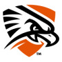 Texas-Permian Basin Falcons