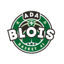 Ada Blois Basket 41