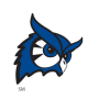 Westfield State Owls