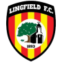 Lingfield FC