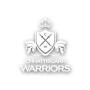 Chhattisgarh Warriors