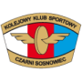 Czarni Sosnowiec (F)