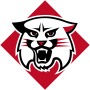 Davidson Wildcats (W)