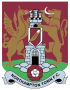 Northampton Town Lfc (F)